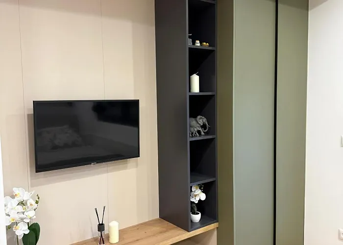 Crnjanski 雅戈丁那