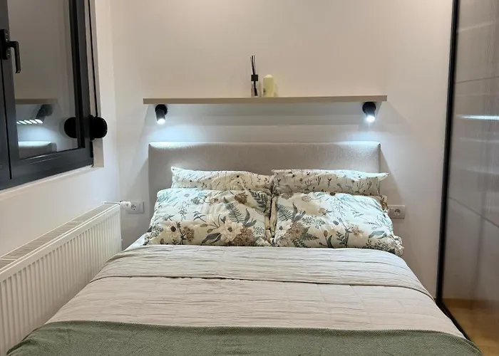 公寓 Crnjanski 雅戈丁那