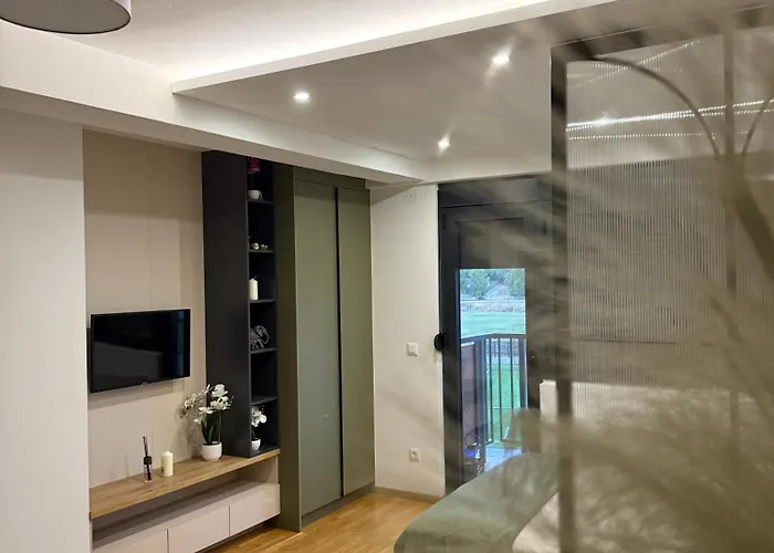 公寓 Crnjanski 雅戈丁那